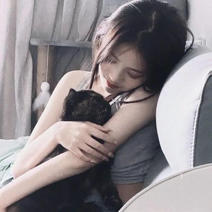 樱子小姐的脚下埋着尸体